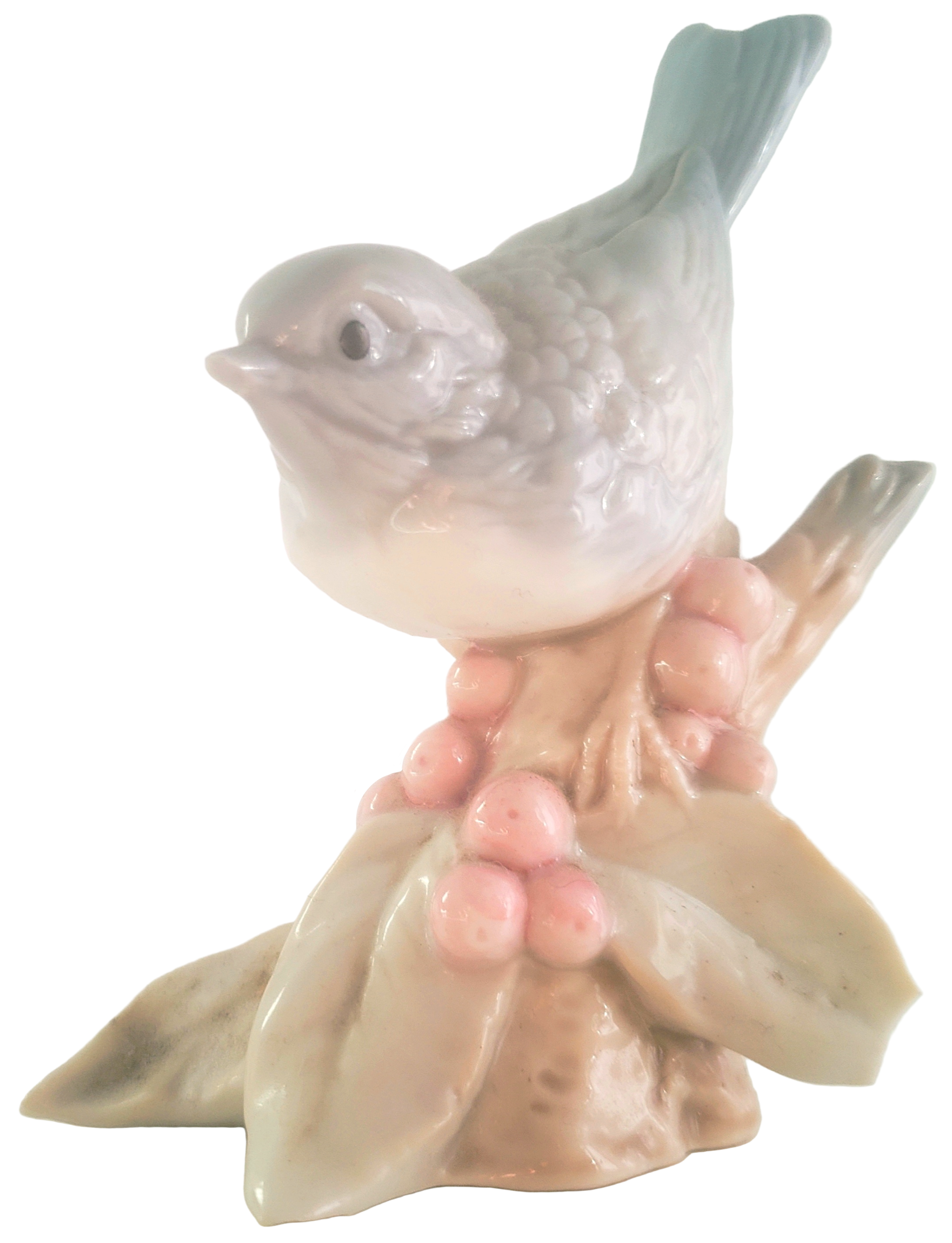 Grey bird
